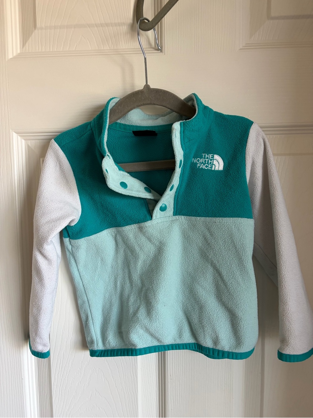 The North Face Teal & Light Aqua Fleece Pullover